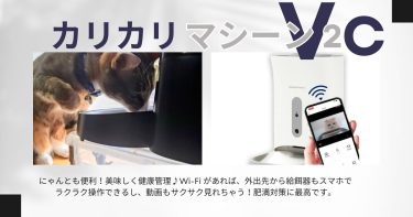 猫の肥満対策にもおすすめ自動給餌機