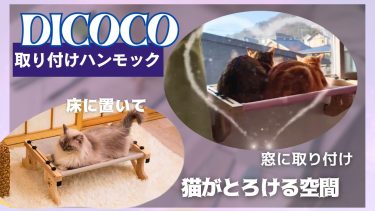 【DICOCO取り付けハンモックレビュー】窓際に特等席を！愛猫のくつろぎスペースを作るならコレ！