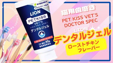 猫の口臭に効果ある？デンタルジェルで2ヶ月検証【リアル歯みがき体験レポ】