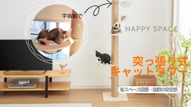 【夢心地の快適空間】猫と一緒に過ごす、安心とぬくもりのキャットタワー