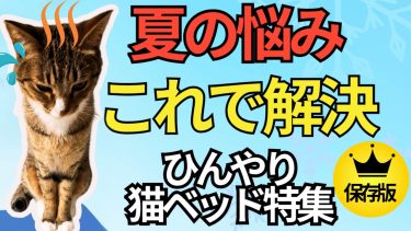 猫ひえひえベッド「安全第一！猫用ベッドの選び方」猫用ひんやりベッドおすすめランキングBEST７選【第1弾】
