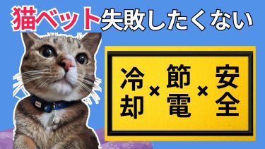 猫ひえひえベッド特集「電気代を抑えて、猫も快適！“節電しながら涼しくなる”夏対策BEST７」【第2弾】