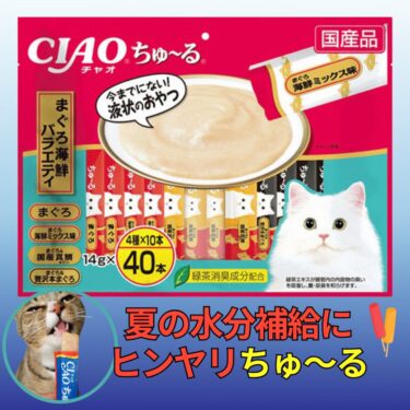 【愛猫レオも秒でペロリ】ちゅ〜る マグロ海鮮バラエティの食いつきがヤバい理由