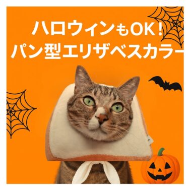 🍞パン レオと楽しむ！ハロウィンにぴったり！猫用パン型エリザベスカラー🎃日常も大活躍🐈‍⬛ 🐾