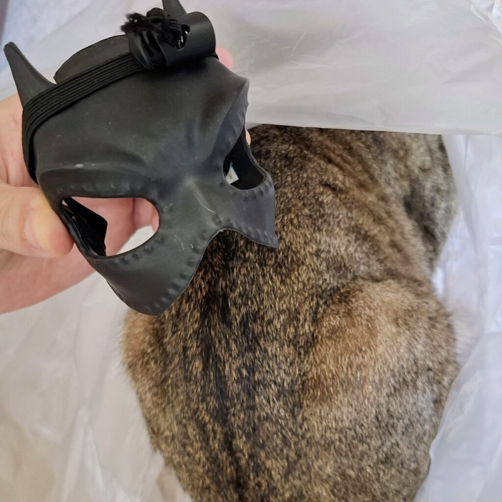 指で軽く曲げたバットマン風お面のプラスチック部分。レオの背中が見える位置でお面が少し入り込んでいる。