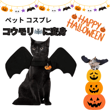 ハロウィンにぴったり!猫ちゃん用コスプレ 🎃 コウモリの羽で大変身