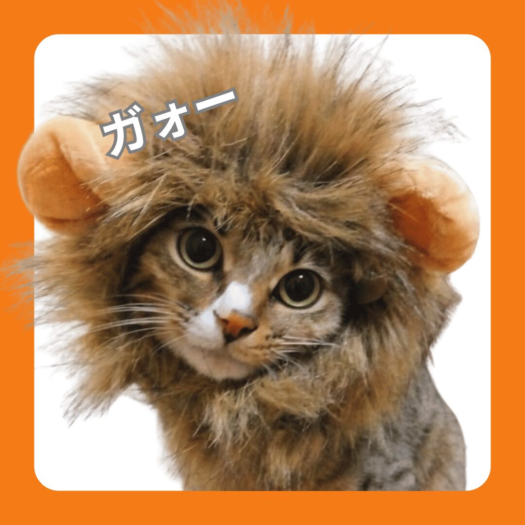 キジトラ白ソックスの猫、レオがライオンのかぶり物をかぶった顔アップ写真。ふさふさのたてがみと耳が特徴。遊び心たっぷりの表情でほっこりします。