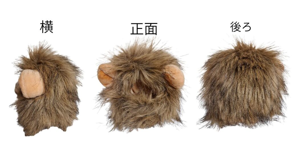 ライオンのかぶりものを正面・横・真後ろから撮影した写真をまとめた画像。