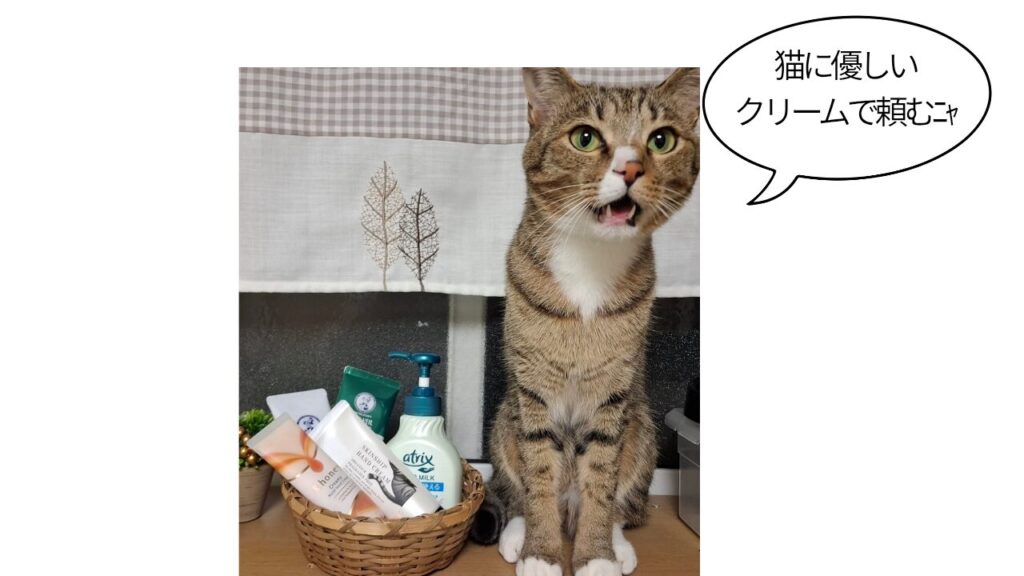 左側にカゴに入った 5種類のクリーム と右側に口を開けた猫が座っている 吹き出しで猫に優しいクリームで頼むにゃ