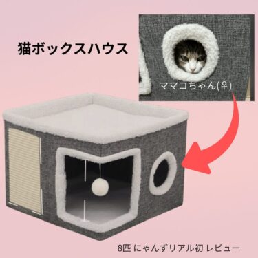 8匹にゃんず初レビュー!もふもふ冬用ベッドで大満足