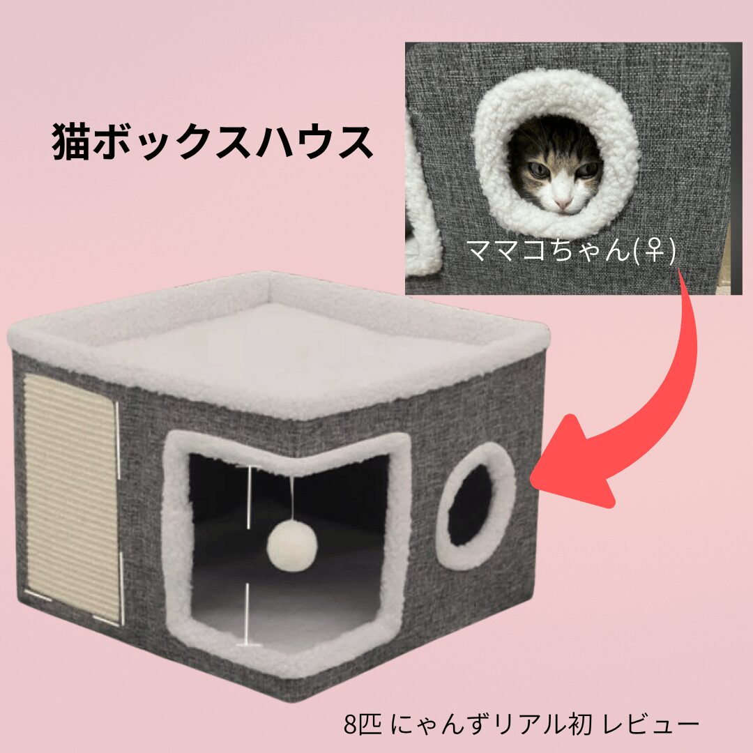 猫ボックスハウス 猫小屋 多機能キャットハウス 丸窓付き 遊べるおもちゃ付き