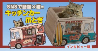 【動画あり】キッチンカー型爪とぎ レビュー記事∣インタビュー版