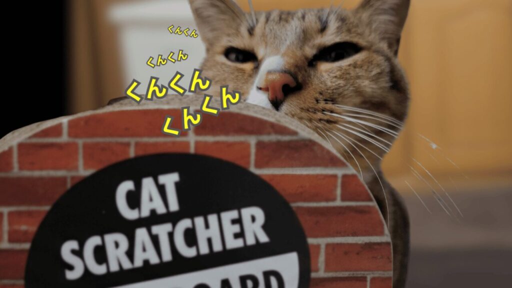 新しい爪とぎを鼻先でくんくんと確認する猫レオのアップ写真