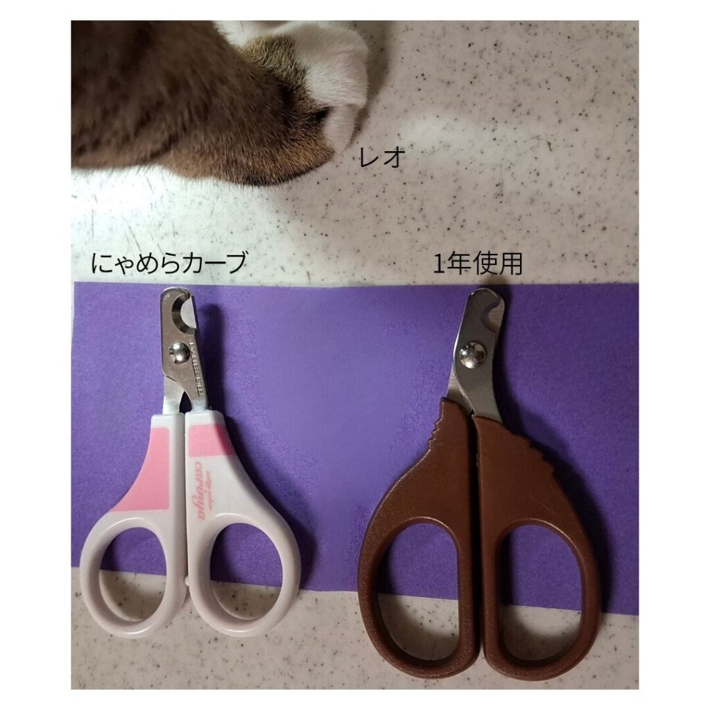 レオの脚とにゃめらカーブと 1年使用の爪切りを並べている