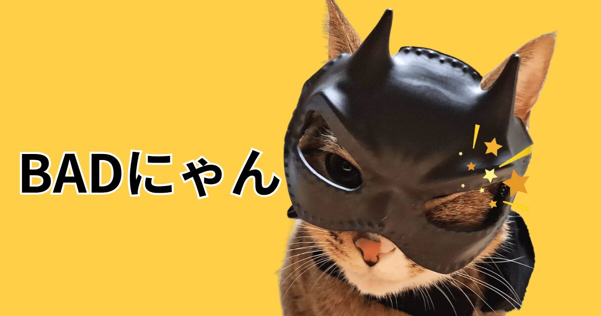 ​黒いバットマンのマスクを着用し、ウインクするキジトラ猫。背景は黄色で、「BADにゃん」という文字が表示されている。