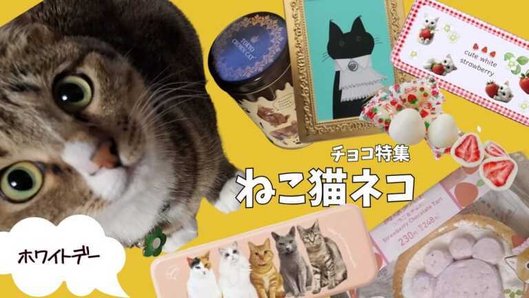 A White Day themed image featuring cat-shaped and cat-designed chocolates, strawberry sweets, and decorative tins arranged on a yellow background