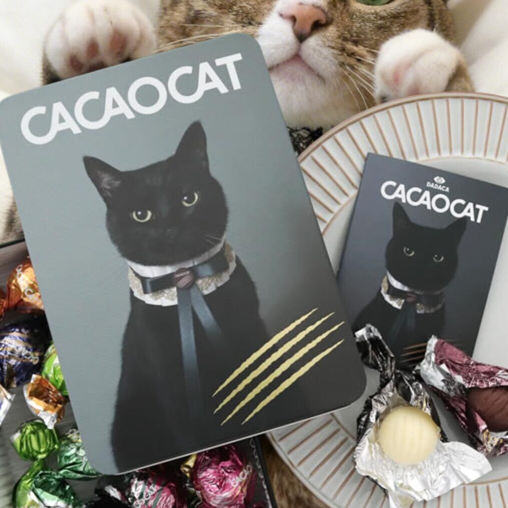黒猫がデザインされたCACAOCATの缶とチョコレートの横から、キジトラ猫が顔を覗かせている様子