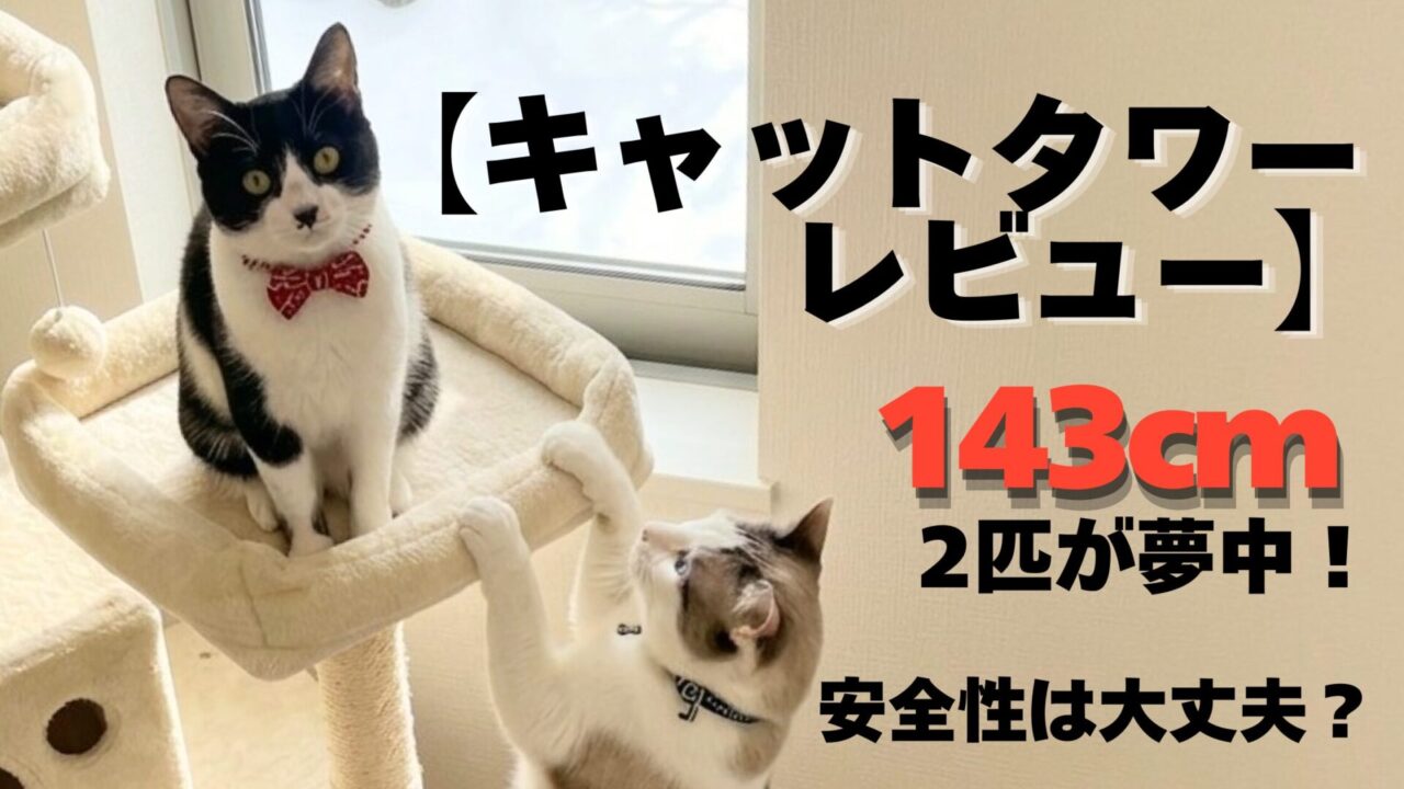 FEANDREAキャットタワー143cmを猫2匹で使ったレビュー