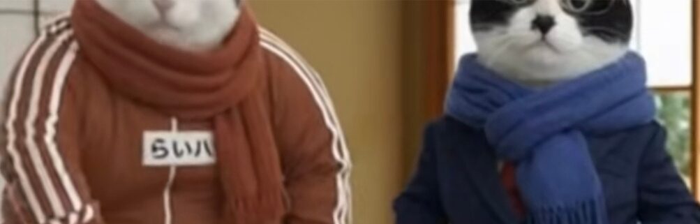 昭和の芋ジャージを着た猫のキャラクターらい八と、学生服にブルーのマフラーを巻いたハチワレ猫（ちいちゃん）のツーショット。どちらも真剣な表情。(TikTokよりchi-chan🐈‍⬛さん画像提供)